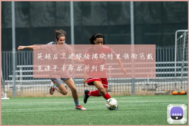 英超后卫进球榜揭晓特里领衔范戴克追平卡希尔并列第二
