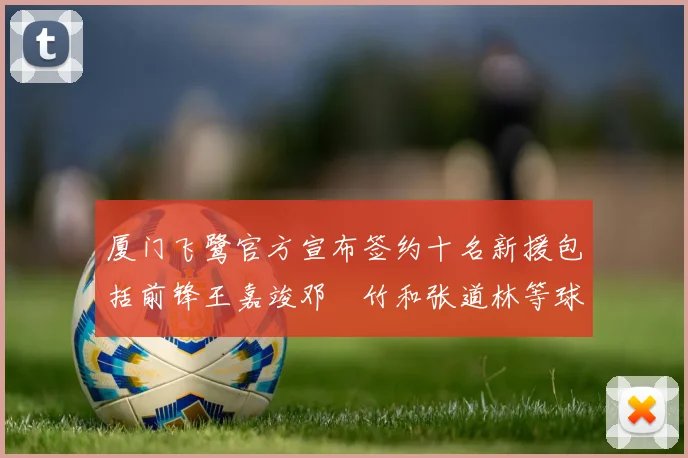 厦门飞鹭官方宣布签约十名新援包括前锋王嘉竣邓棽竹和张道林等球员